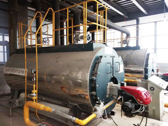 news wns fire tube steam boiler greenhouse boiler hot water boiler manufacturer.jpg